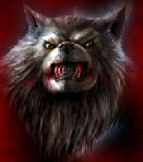 Avatar utente